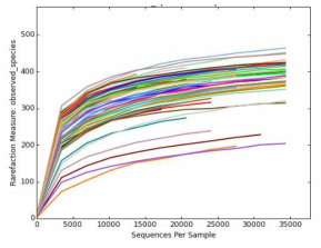 통영해역의 Eukarytoic organisms(식물플랑크톤) NGS 분석시 97% Rarefaction curves