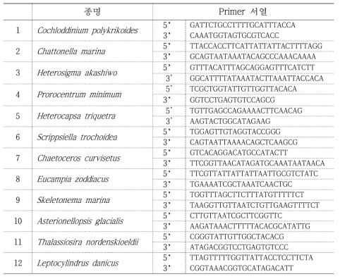 유무해조류의 종 특이적 PCR primers