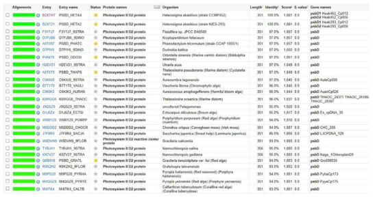 H. akashiwo Photosystem II D2 단백질 상동성 조사