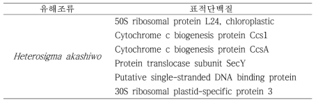 압타머 발굴 가능한 표적단백질