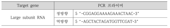 rRNA 유전자 증폭을 위한 PCR 프라이머