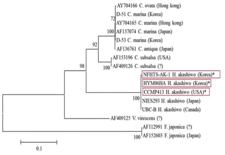 Heterosigma akashiwo의 phylogenetic tree