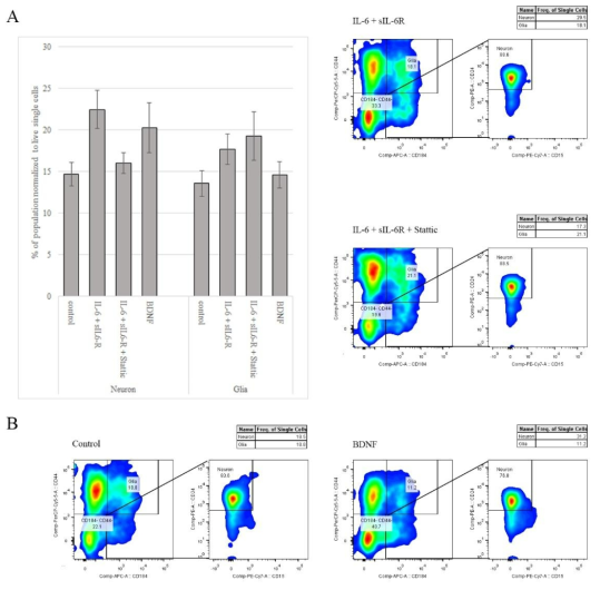 Extracellular FACS analysis reveals that IL-6 and BDNF increase neurogenesis and gliogenesis.