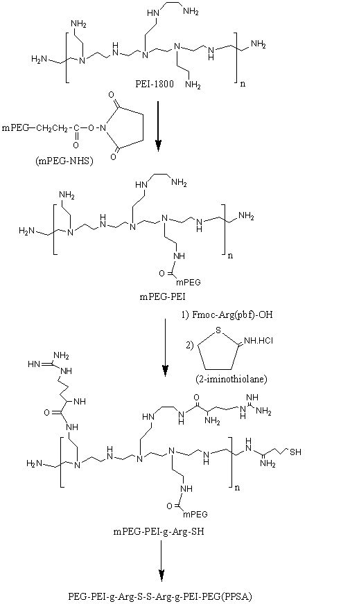 Schematic representation synthesis of bioreducible copolymer