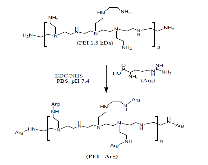 Schematic representation of the synthesis of PEI-Arg