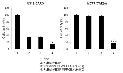 MTT assay of Ad/MPPCBA in CAR(+)/(-) cells