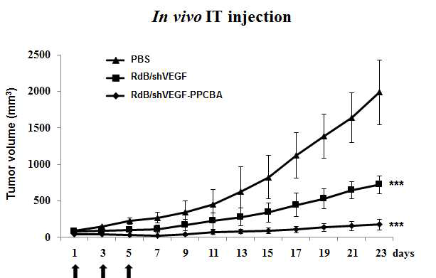 Antitumor therapeutic efficacy of naked RdB/shVEGF or RdB/shVEGF-MPPCBA complex in U87 glioblastoma xenograft established in nude mice through intratumoral (IT) injection. U87 tumor-bearing mice were injected with PBS, RdB/shVEGF (5 × 109VP), or RdB/shVEGF-MPPCBA (5 × 109VP) complex three times spaced every other day