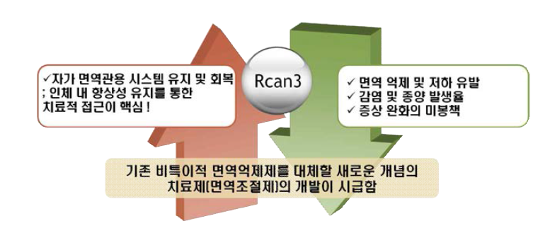 RCAN3를 이용한 면역조절제 개발 필요성