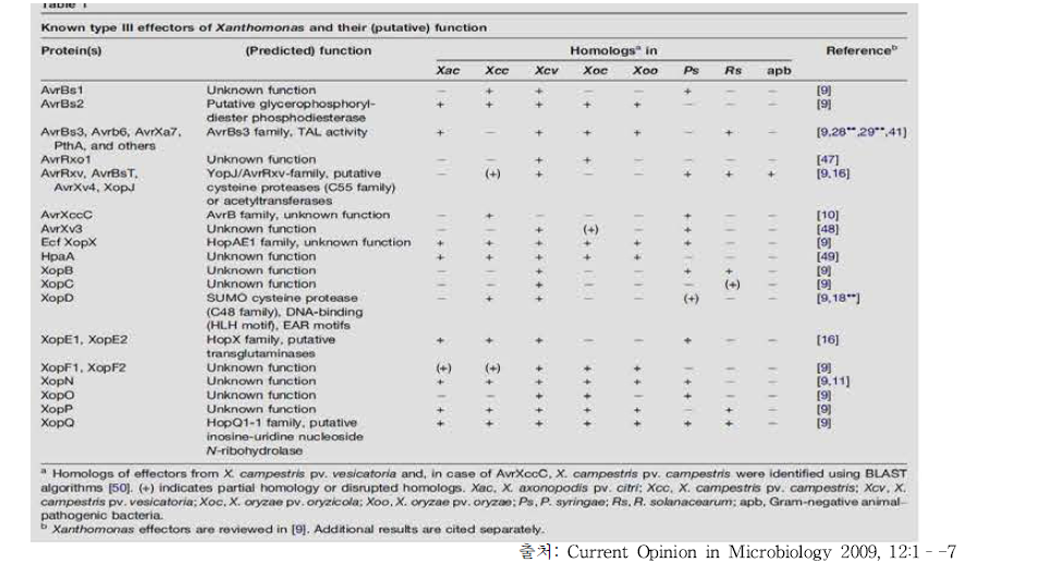 Xanthomonas Type3 effector 과 기능