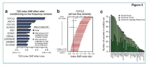 T2D exome sequencing 연구에서 찾아낸 SNP들의 effect에 대한 요약통계량