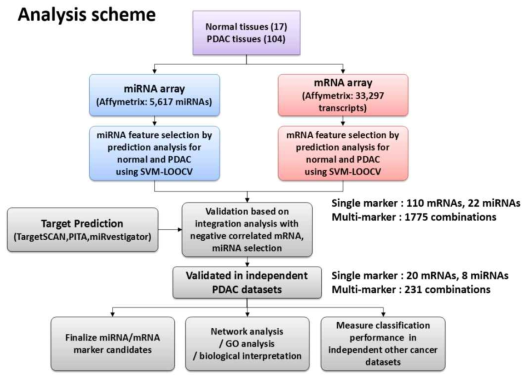 miRNA와 mRNA의 통합분석을 통한 복합마커의 개발 전략도