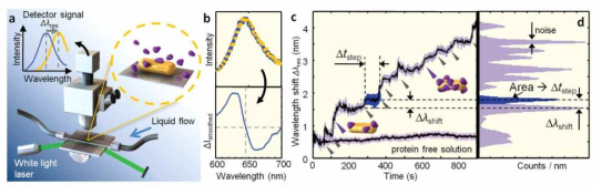 나노 금속 구조체를 이용한 단일 단백질 분자 검출 모식도와 스펙트럼