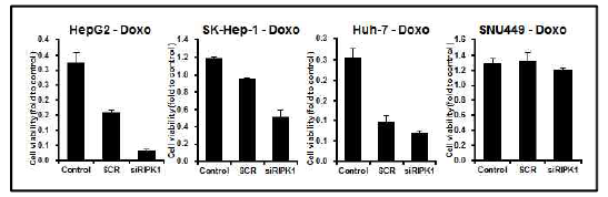 RIPK1 억제에 의한 doxorubicin 민감성