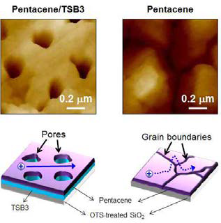 TSB3를 이용한 pentacene thin film의 morphology 향상