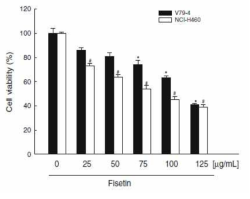 Fisetin 농도별 처리시 폐암세포의 세포성장율 측정