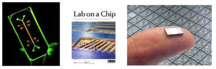 MEMS)기술을 이용한 Lung-on-a-chip (좌), Lab on a chip 학술지 2012년 8호 표지 (중), 맴스(MEMS)기술로 개발된 인슐린 나노펌프 (우)