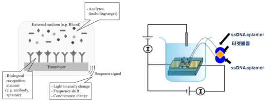 바이오센서의 모식도