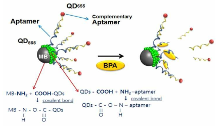 나노압타머 분석법 (Nanoaptamer assay)의 모식도