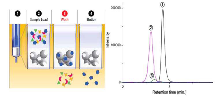 SPE tube 카트리지의 실험 과정 단계 및 비스페놀 A 분자각인 고분자 성능 테스트 chromatogram