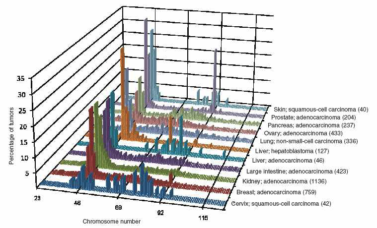 CIN in solid tumors