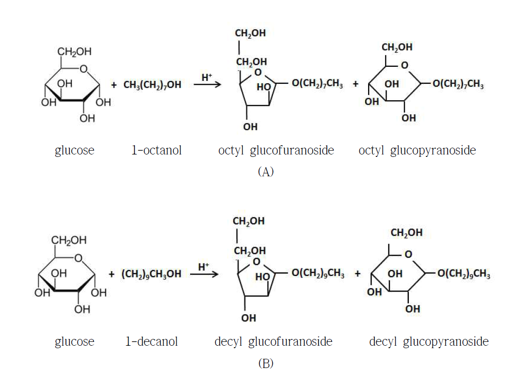 Reaction paths of formation of octyl glucoside (A) and decyl glucoside (B).