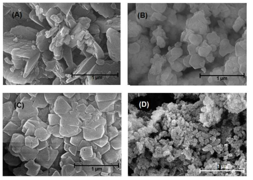 SEM images of the zeolite catalysts: (A) MOR, (B) MFI, (C) FAU, (D) BEA.