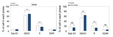 Pdia3와 Srpr가 keratinocyte의 cell cycle에 미치는 영향 조사