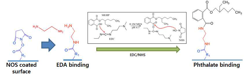 프탈레이트의 DNA-BIND® 96 well plate상에 고정화. Ethylenediamine과 EDC/NHS를 링커로 이용하여 NOS 작용기가 코팅된 표면 위에 최종적으로 프탈레이트를 고정함.