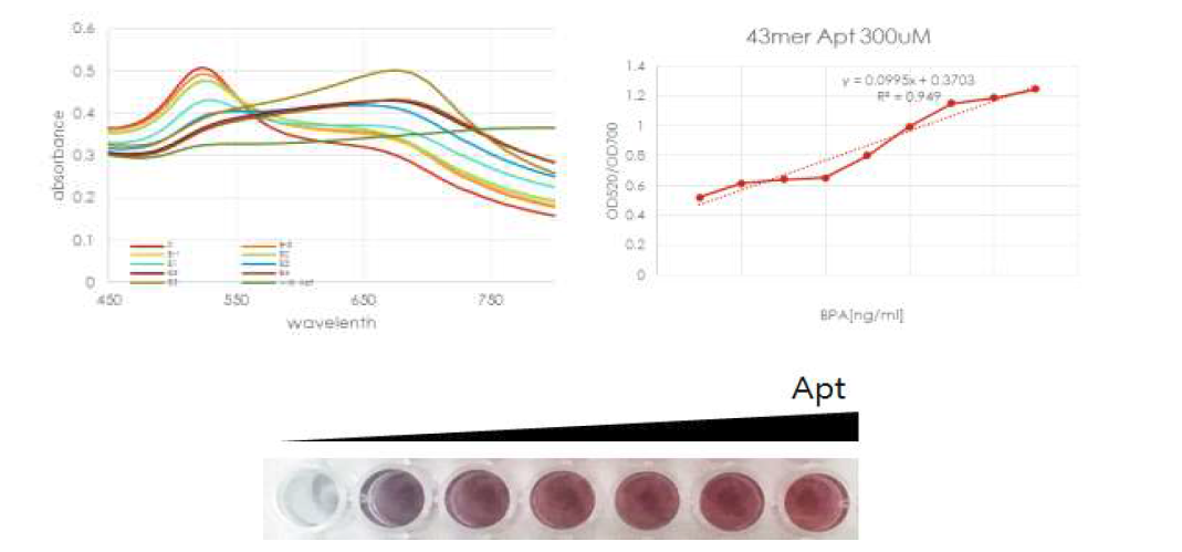 43mer의 압타머를 이용한 금나노입자/압타머 센서의 비스페놀 A 측정 결과