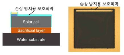 보호피막의 구성도(좌)와 보호피막이 코팅된 태양전지 사진