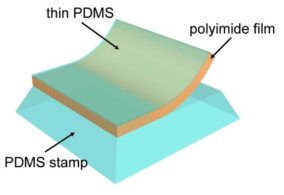 PDMS가 코팅된 필름 스탬프 도면