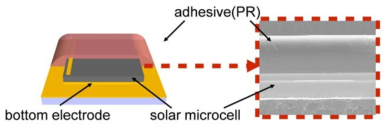 전사된 태양전지의 단면도 도면(좌)과 단면도 SEM 사진