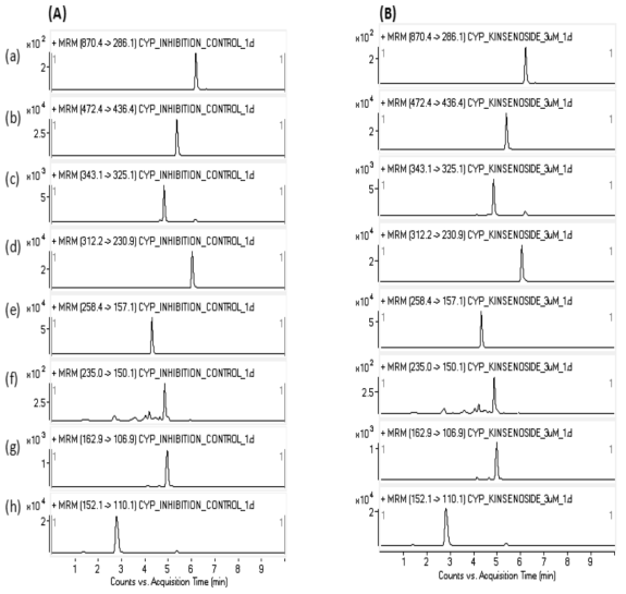 Representive MRM chromatograms of human liver microsome samplles of (A) control and (B) kinsenoside-treated.