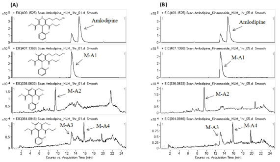 Representative EIC chromatograms of amlodipine in human liver microsome samples for 1 h (A) without kinsenoside (control) and (B) with kinsenoside.