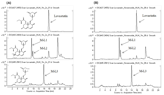Representative EIC chromatograms of lovastatin in human liver microsome samples for 1 h (A) without kinsenoside (control) and (B) with kinsenoside.