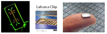 맴스 (MEMS)기술을 이용한 Lung-on-a-chip (좌), Lab on a chip 학술지 2012년 8호 표지 (중), 맴스(MEMS)기술로 개발된 인슐린 나노펌프