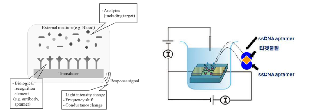 바이오센서의 모식도 (좌, 황교선 외, 2009), 압타머 고정화 환경오염물질 검출 센서칩 모식도