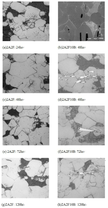 Microstructures of 2A2F and 2A2F10B alloys aging at 400 ˚C for different times