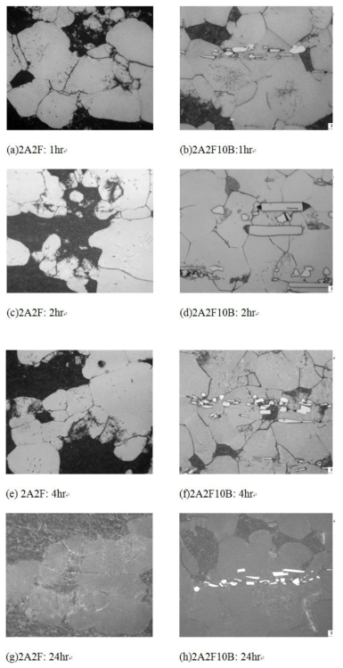 Microstructures of 2A2F and 2A2F10B alloys aging at 450˚C for different times