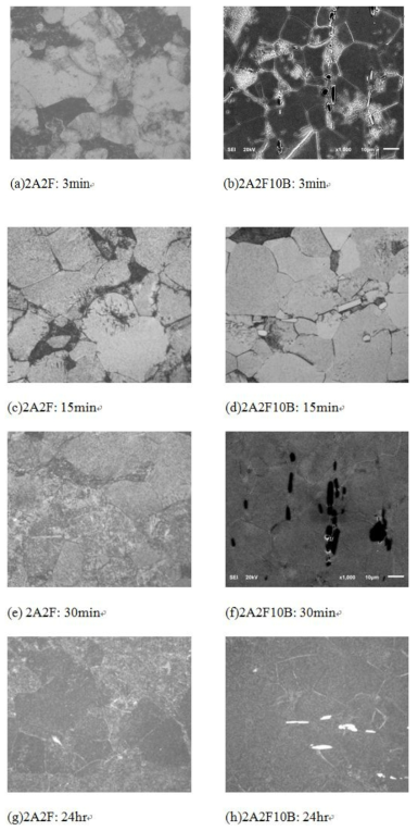 Microstructures of 2A2F and 2A2F10B alloys aging at 500 ˚C for different times