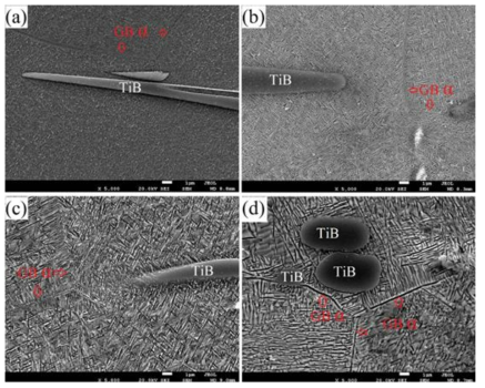 SEM images of the alloy solution treated at 850°C and aged at (a) 500°C, (b) 550°C, (c) 600°C and (d) 650°C for 2h.