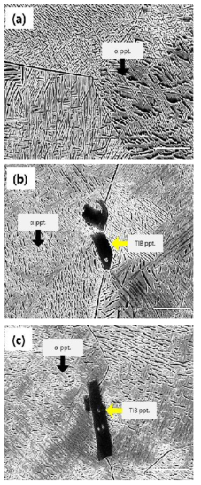 Microstructures of 850℃ 30min Water Quenched & 650℃ 1hr Water Quenched (a) B-free (b) 0.05B added (c) 0.1B added 2A2F alloy.