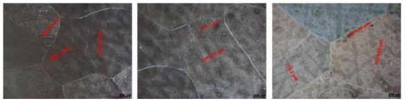 Microstructures in T section of 2A2F in as-cast condition.