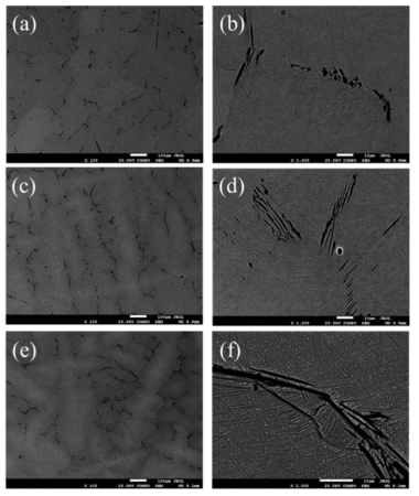 SEM micrograph of as-cast 2A2F10B alloy at different position: (a, b) A position in Fig.3.5, (c, d) B position in Fig.3.5, (e, f) C position in Fig.3.5 R/2.