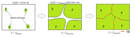 Schematic illustration of solidification in 2A2F10B alloy.