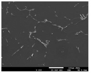The microstructure of TiB particles (white phase) and beta grains in solution treated 2A2F10B alloy