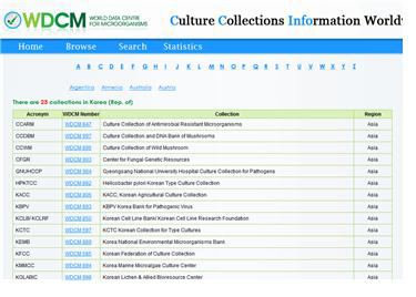 WDCM CCINFO 시스템