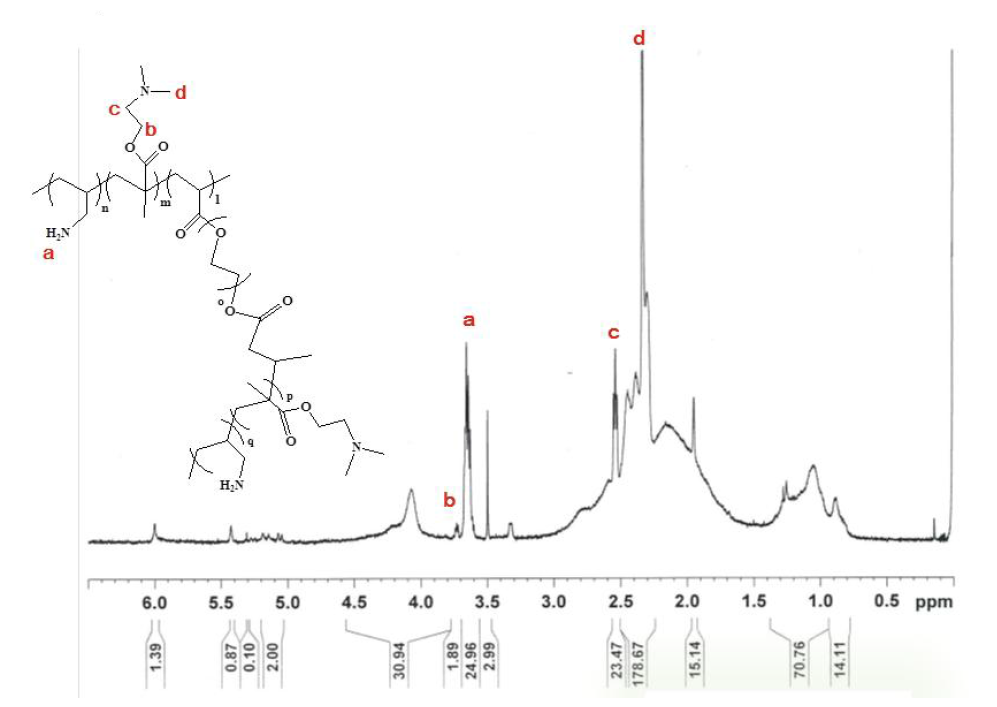 Poly(AA-co-DMAEMA)1.0의 1H-NMR