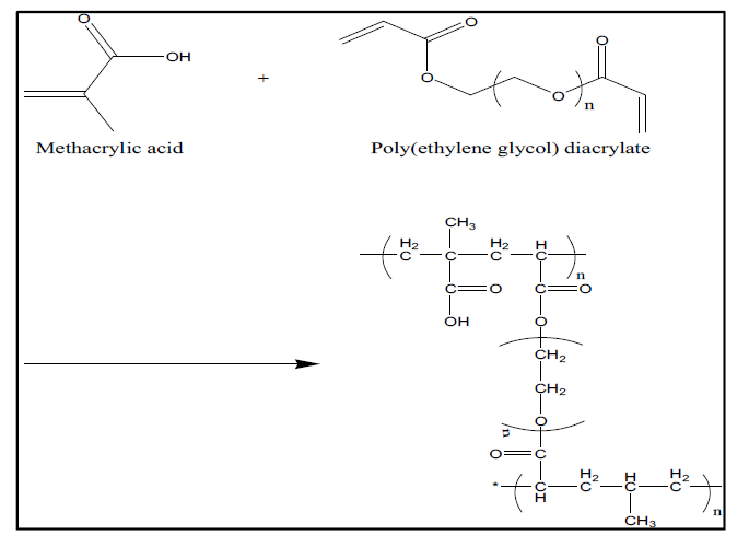 Synthesis mechanism of MAA-co-PEGDA copolymer.