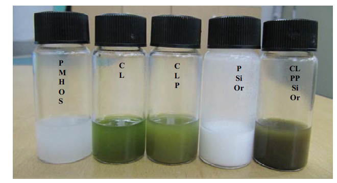 Optical image of the preparation of CLPPSiOr hybrid micro-nanocomposites from the required sources.